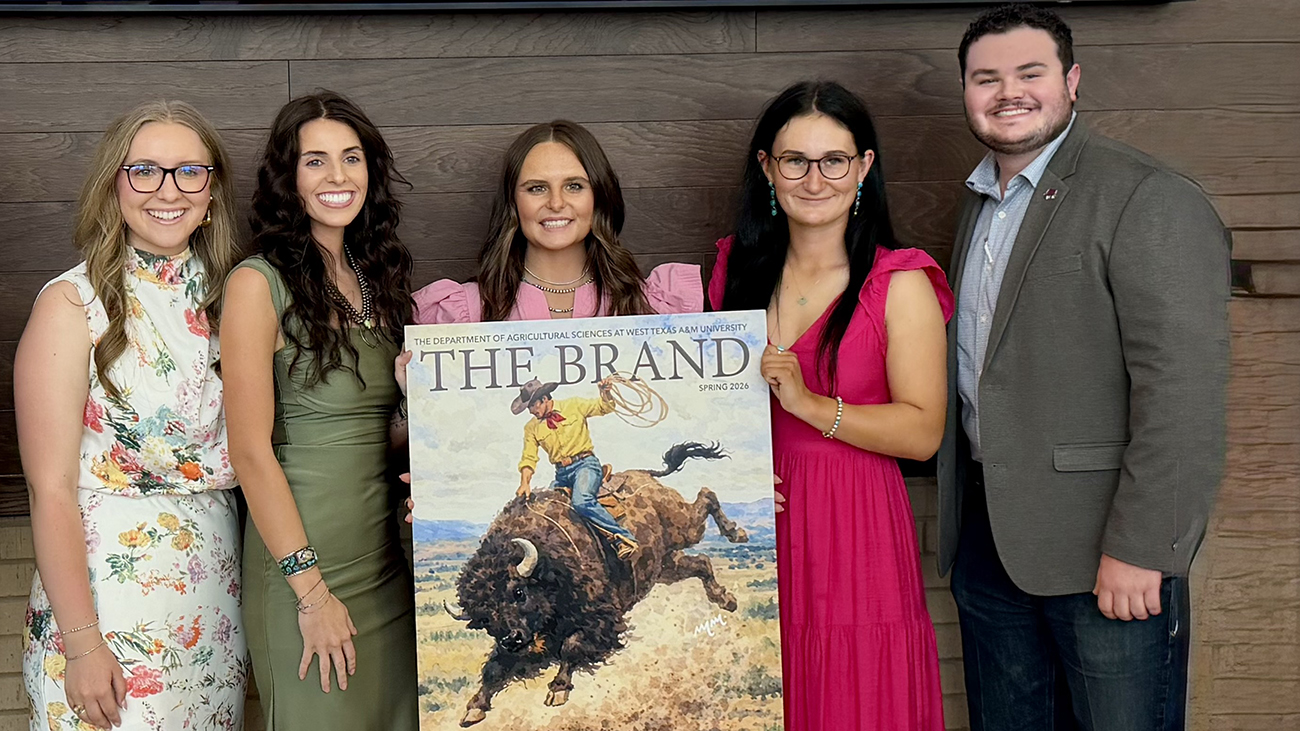 Brand 26