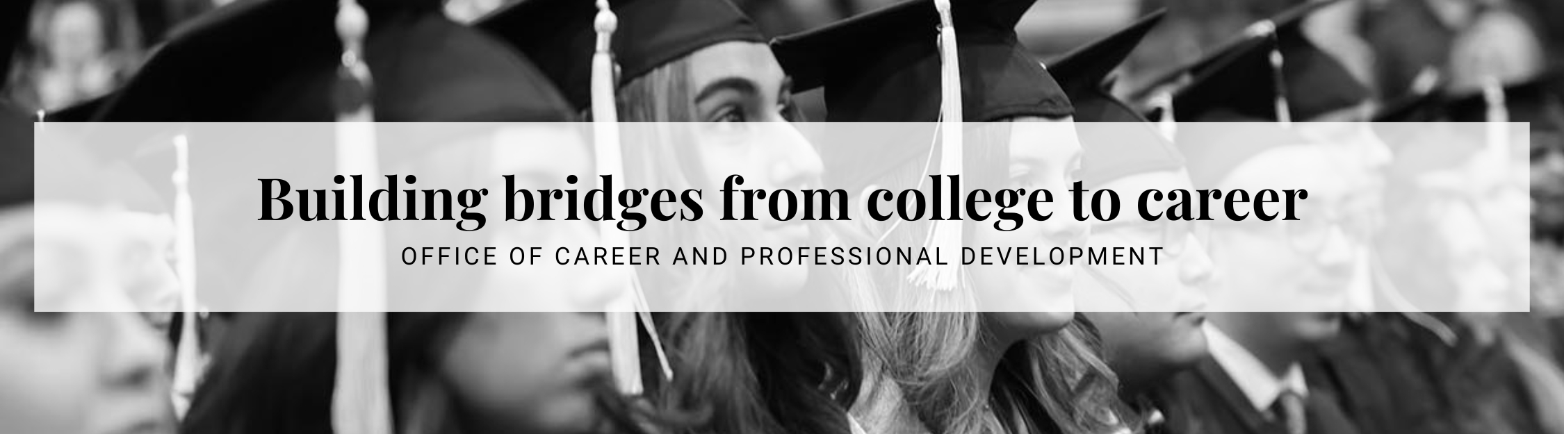 OCPD Website Header: Building Bridges