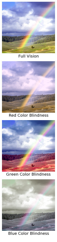 why-can-t-color-blind-people-see-any-colors-science-questions-with-surprising-answers