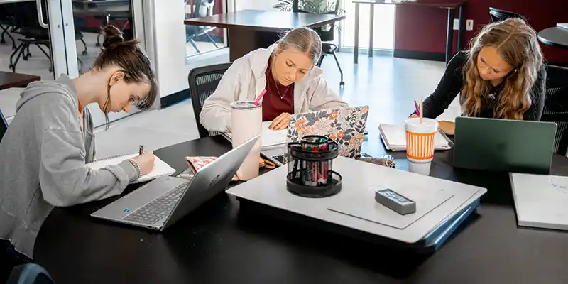 Students Studying