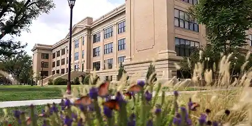 Terry B. Rogers College of Education and Social Sciences