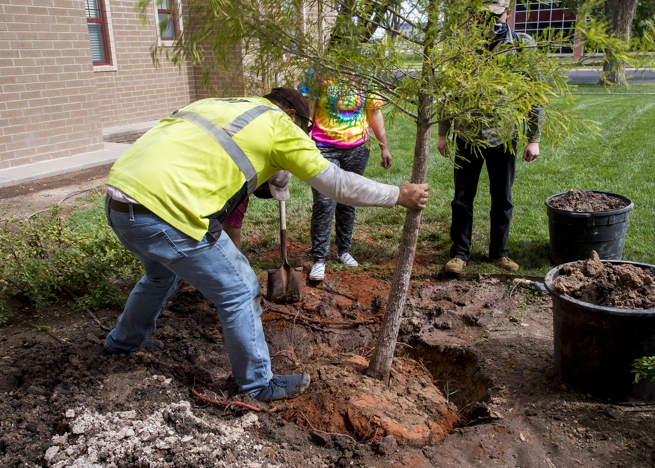 Arbor Day Celebrated at WT with Planting of New Trees | WTAMU