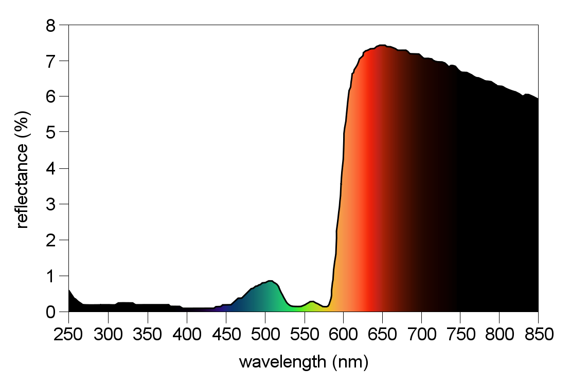 Blood Spectrum 