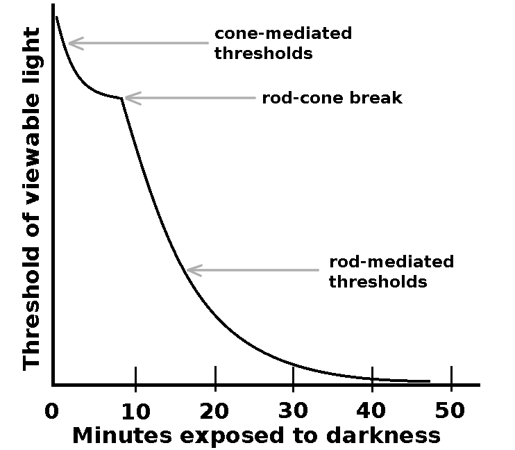 visual dark adaption curve