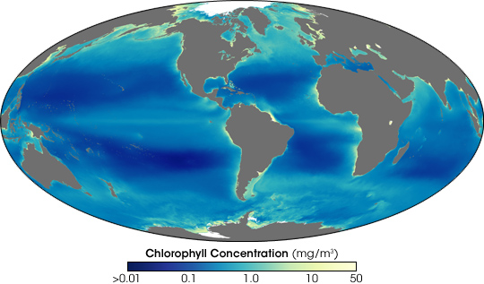 global map of chlorophyll levels