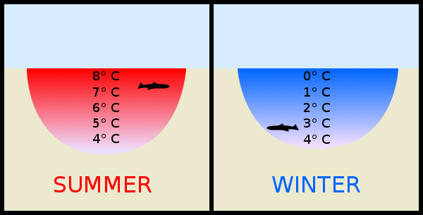 How Does Water Freeze?