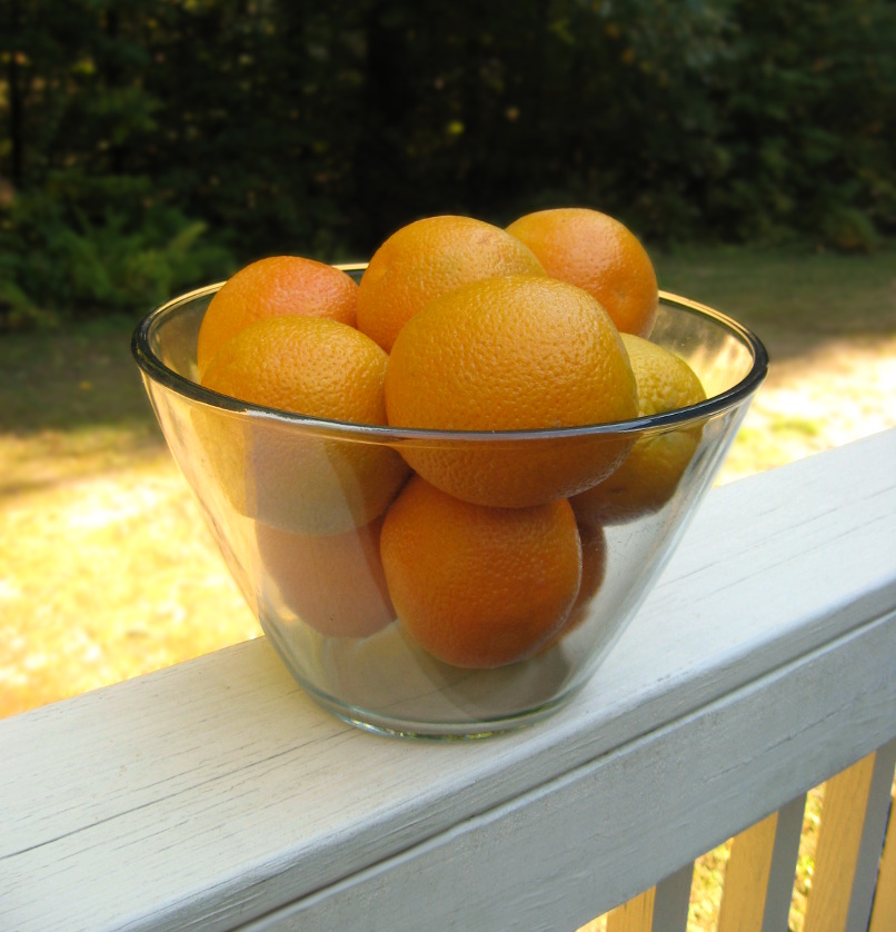 bowl of oranges