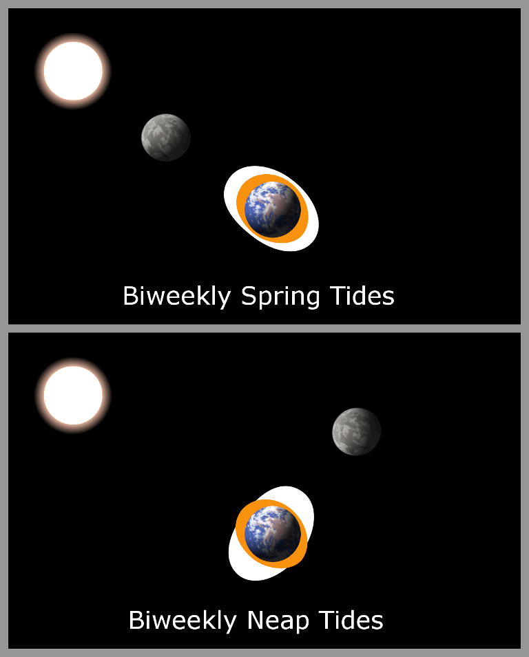 why-does-the-moon-s-gravity-cause-tides-on-earth-but-the-sun-s-gravity