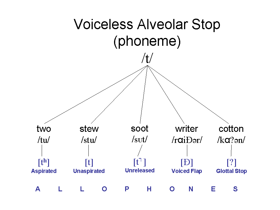 Allophonic Variation