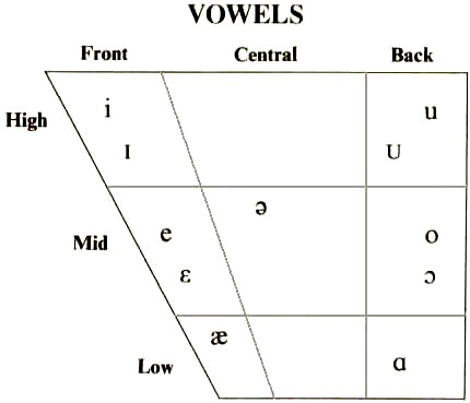 IPA Vowel Symbols