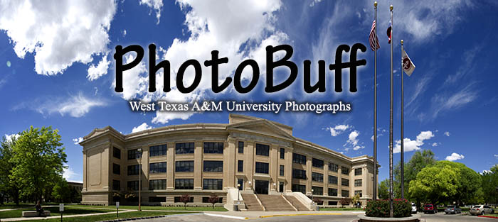 Photobuff header