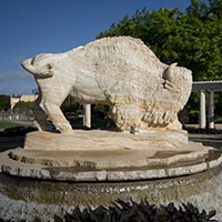 photographs of buffalo sculptures