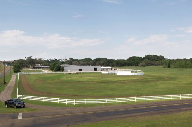 horsecenter3595.jpg